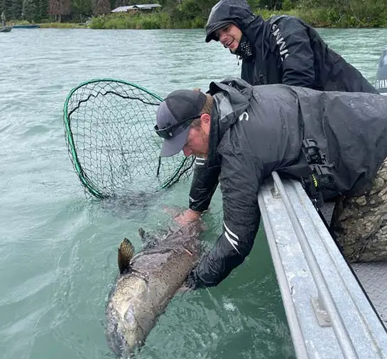 Kenai Fishing Charters