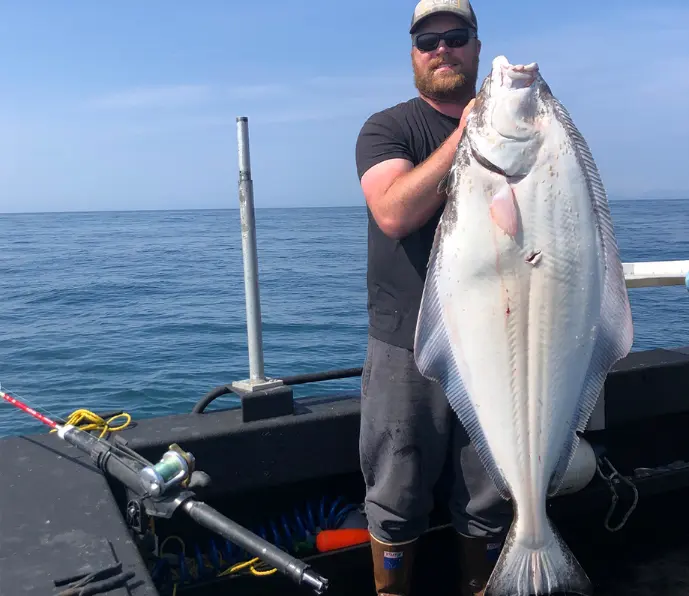 halibut caught on homer alaska fishing charter